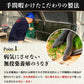 無投薬うなぎ 4尾 約140g×4本 国産 鰻 鹿児島県産 ( 鰻 うなぎ ウナギ 蒲焼 かば焼き 土用丑 土用 丑の日 スタミナ 夏 山田水産) 冷凍便 お取り寄せグルメ 食品 ギフト