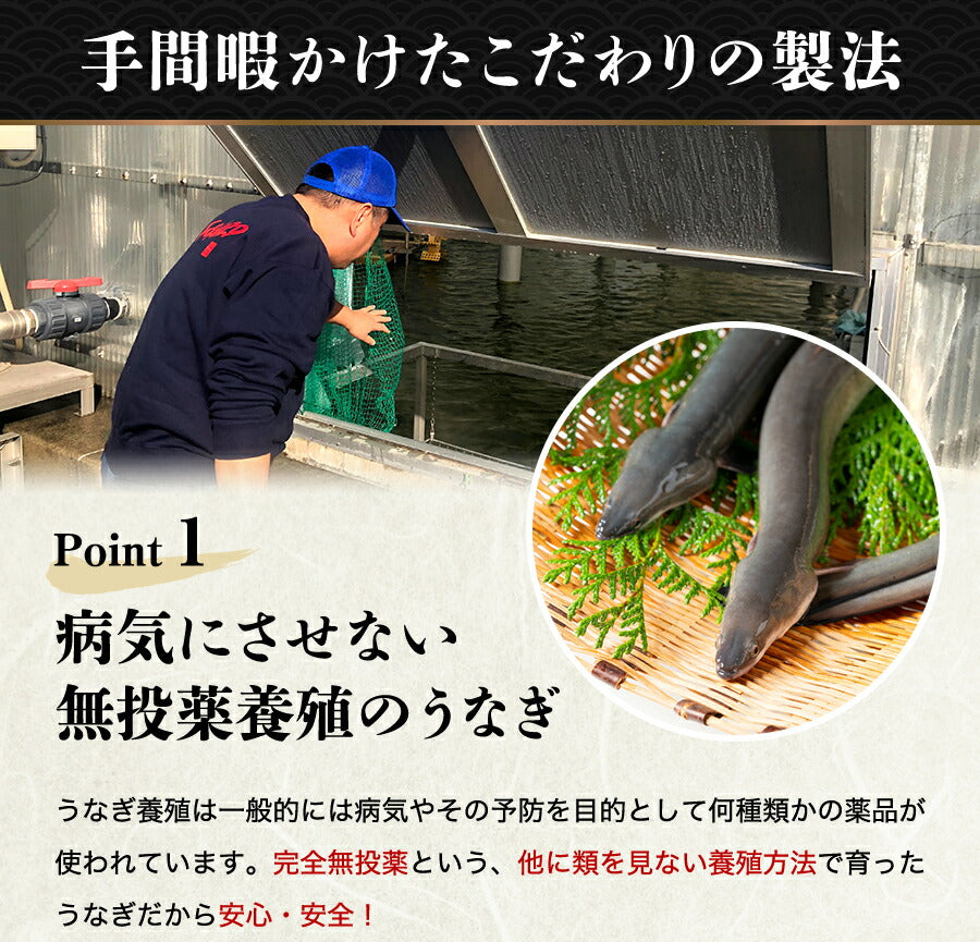 無投薬うなぎ 4尾 約140g×4本 国産 鰻 鹿児島県産 ( 鰻 うなぎ ウナギ 蒲焼 かば焼き 土用丑 土用 丑の日 スタミナ 夏 山田水産) 冷凍便 お取り寄せグルメ 食品 ギフト