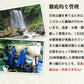 無投薬うなぎ 4尾 約140g×4本 国産 鰻 鹿児島県産 ( 鰻 うなぎ ウナギ 蒲焼 かば焼き 土用丑 土用 丑の日 スタミナ 夏 山田水産) 冷凍便 お取り寄せグルメ 食品 ギフト