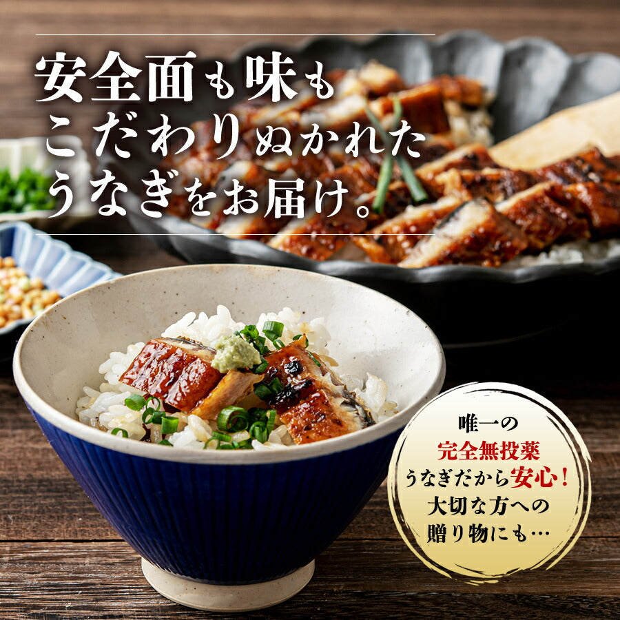 無投薬うなぎ 4尾 約140g×4本 国産 鰻 鹿児島県産 ( 鰻 うなぎ ウナギ 蒲焼 かば焼き 土用丑 土用 丑の日 スタミナ 夏 山田水産) 冷凍便 お取り寄せグルメ 食品 ギフト