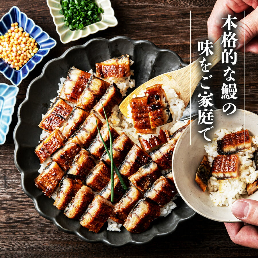 無投薬うなぎ 4尾 約140g×4本 国産 鰻 鹿児島県産 ( 鰻 うなぎ ウナギ 蒲焼 かば焼き 土用丑 土用 丑の日 スタミナ 夏 山田水産) 冷凍便 お取り寄せグルメ 食品 ギフト