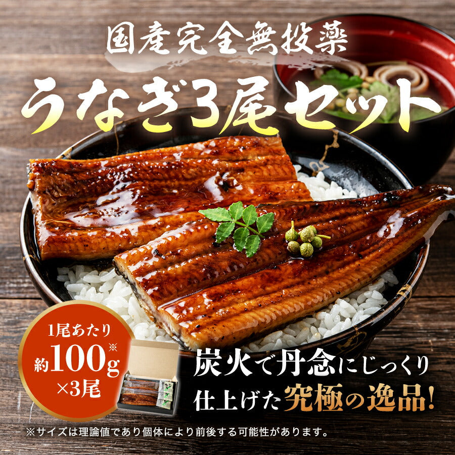 無投薬うなぎ 100g×3尾 3本 国産 鰻 風呂敷包み 鹿児島県産 ( 鰻 うなぎ ウナギ 蒲焼 かば焼き 土用丑 土用 丑の日 スタミナ 夏 山田水産) 冷凍便 お取り寄せグルメ 食品 ギフト