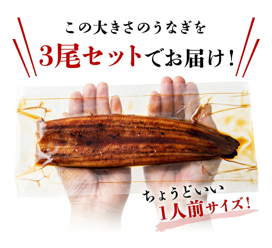 無投薬うなぎ 100g×3尾 3本 国産 鰻 風呂敷包み 鹿児島県産 ( 鰻 うなぎ ウナギ 蒲焼 かば焼き 土用丑 土用 丑の日 スタミナ 夏 山田水産) 冷凍便 お取り寄せグルメ 食品 ギフト