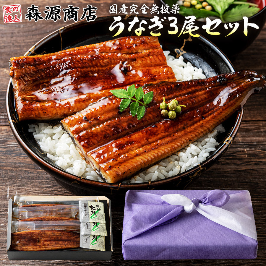 無投薬うなぎ 100g×3尾 3本 国産 鰻 風呂敷包み 鹿児島県産 ( 鰻 うなぎ ウナギ 蒲焼 かば焼き 土用丑 土用 丑の日 スタミナ 夏 山田水産) 冷凍便 お取り寄せグルメ 食品 ギフト