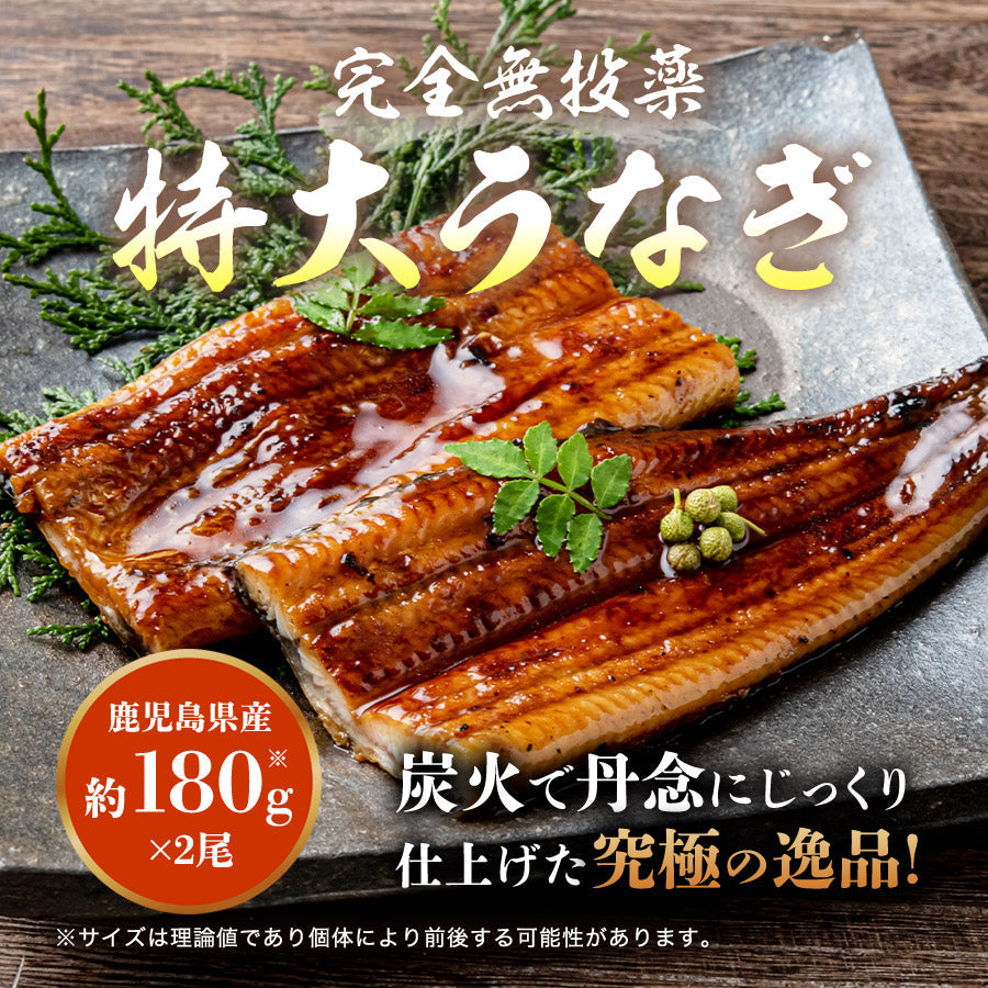 【3人シェア買いでお得】うなぎ 国産 無投薬 2尾 約180g×2本 鰻 風呂敷包み 鹿児島県産  鰻 うなぎ ウナギ 蒲焼 かば焼き 土用丑 土用 丑の日 スタミナ 夏 山田水産 冷凍便 お取り寄せグルメ 食品 ギフト