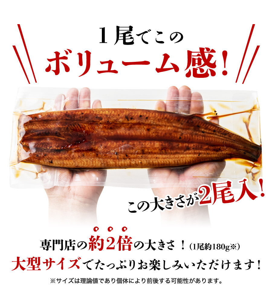 【3人シェア買いでお得】うなぎ 国産 無投薬 2尾 約180g×2本 鰻 風呂敷包み 鹿児島県産  鰻 うなぎ ウナギ 蒲焼 かば焼き 土用丑 土用 丑の日 スタミナ 夏 山田水産 冷凍便 お取り寄せグルメ 食品 ギフト