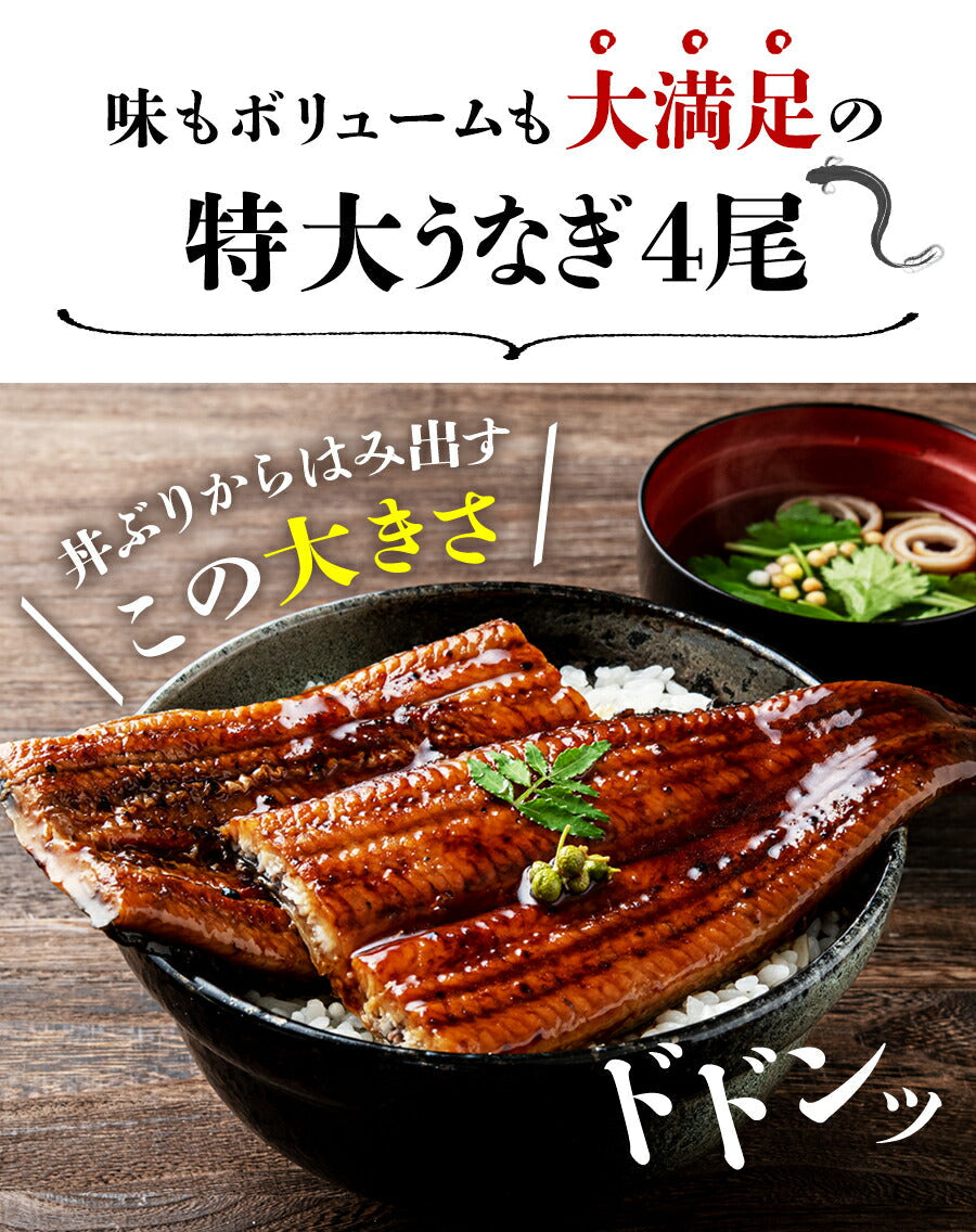 無投薬うなぎ 4尾 約140g×4本 国産 鰻 鹿児島県産 ( 鰻 うなぎ ウナギ 蒲焼 かば焼き 土用丑 土用 丑の日 スタミナ 夏 山田水産) 冷凍便 お取り寄せグルメ 食品 ギフト