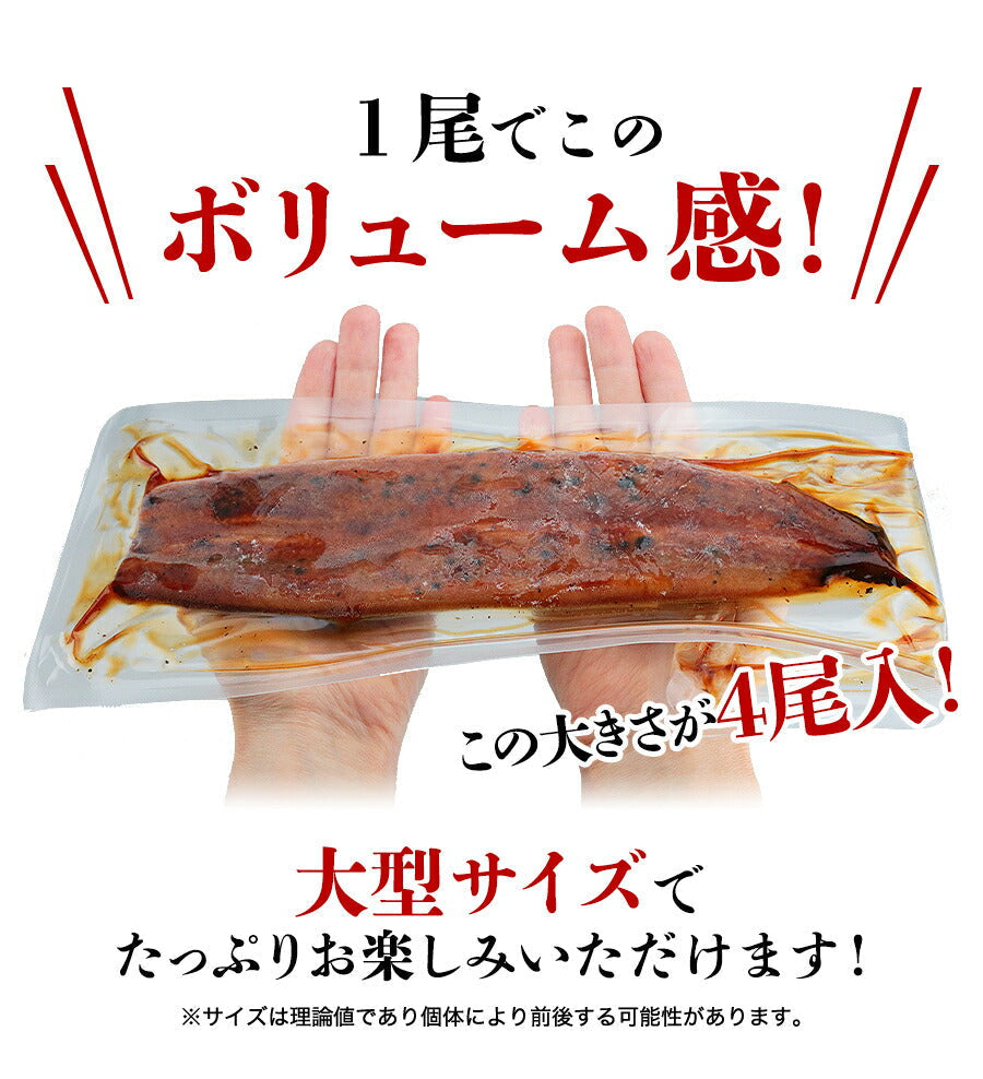 無投薬うなぎ 4尾 約140g×4本 国産 鰻 鹿児島県産 ( 鰻 うなぎ ウナギ 蒲焼 かば焼き 土用丑 土用 丑の日 スタミナ 夏 山田水産) 冷凍便 お取り寄せグルメ 食品 ギフト
