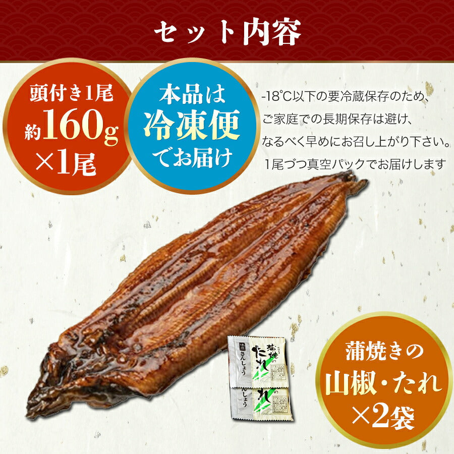 国産 うなぎ蒲焼き 約160g 大サイズ 有頭 山椒・たれ2袋付き 送料無料 鰻 うなぎ ウナギ 蒲焼 かば焼き 土用丑の日 スタミナ ギフト 冷凍便 お取り寄せグルメ 食品 ギフト