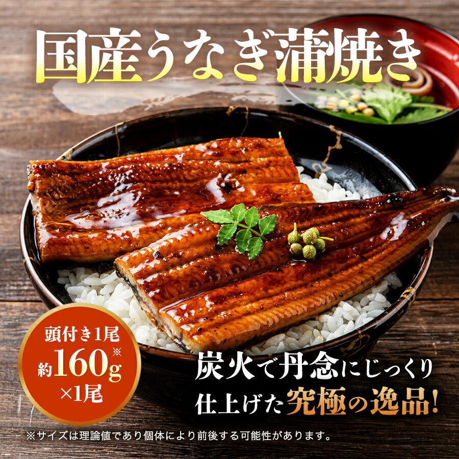 国産 うなぎ蒲焼き 約160g 大サイズ 有頭 山椒・たれ2袋付き 送料無料 鰻 うなぎ ウナギ 蒲焼 かば焼き 土用丑の日 スタミナ ギフト 冷凍便 お取り寄せグルメ 食品 ギフト