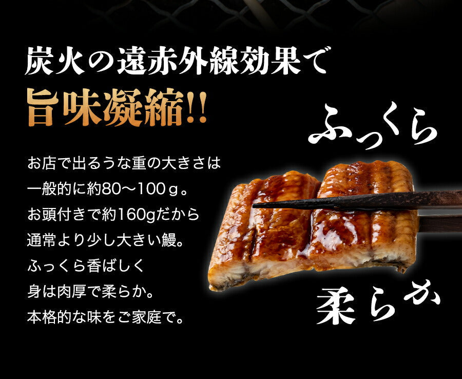 国産 うなぎ蒲焼き 約160g 大サイズ 有頭 山椒・たれ2袋付き 送料無料 鰻 うなぎ ウナギ 蒲焼 かば焼き 土用丑の日 スタミナ ギフト 冷凍便 お取り寄せグルメ 食品 ギフト