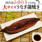 国産 うなぎ蒲焼き 約160g 大サイズ 有頭 山椒・たれ2袋付き 送料無料 鰻 うなぎ ウナギ 蒲焼 かば焼き 土用丑の日 スタミナ ギフト 冷凍便 お取り寄せグルメ 食品 ギフト