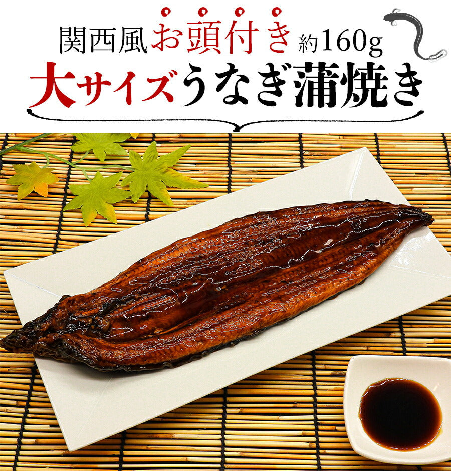 国産 うなぎ蒲焼き 約160g 大サイズ 有頭 山椒・たれ2袋付き 送料無料 鰻 うなぎ ウナギ 蒲焼 かば焼き 土用丑の日 スタミナ ギフト 冷凍便 お取り寄せグルメ 食品 ギフト