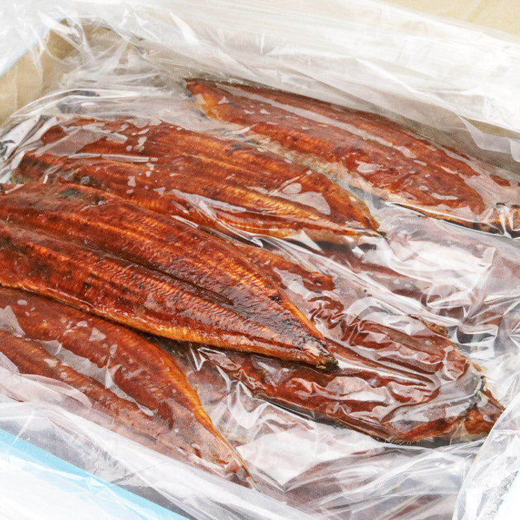 中国産うなぎ 無頭背開き 超特大約200g×50尾 10kg 業務用 冷凍便 送料無料 土用丑の日 うなぎ お取り寄せグルメ 食品 ギフト