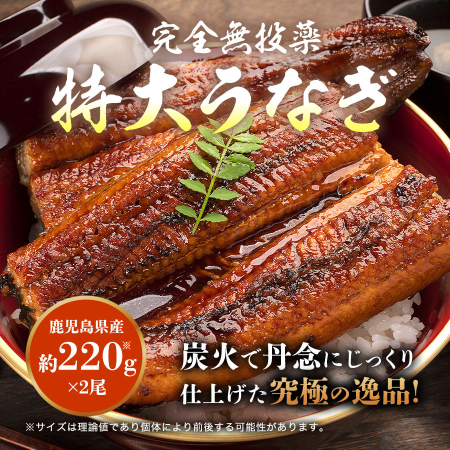 国産 無投薬うなぎ 2尾 特大 約220g×2本 鰻 風呂敷包み 鰻 うなぎ ウナギ 蒲焼 かば焼き 土用丑 土用 丑の日 スタミナ 夏 山田水産 冷凍便 お取り寄せグルメ 食品 ギフト