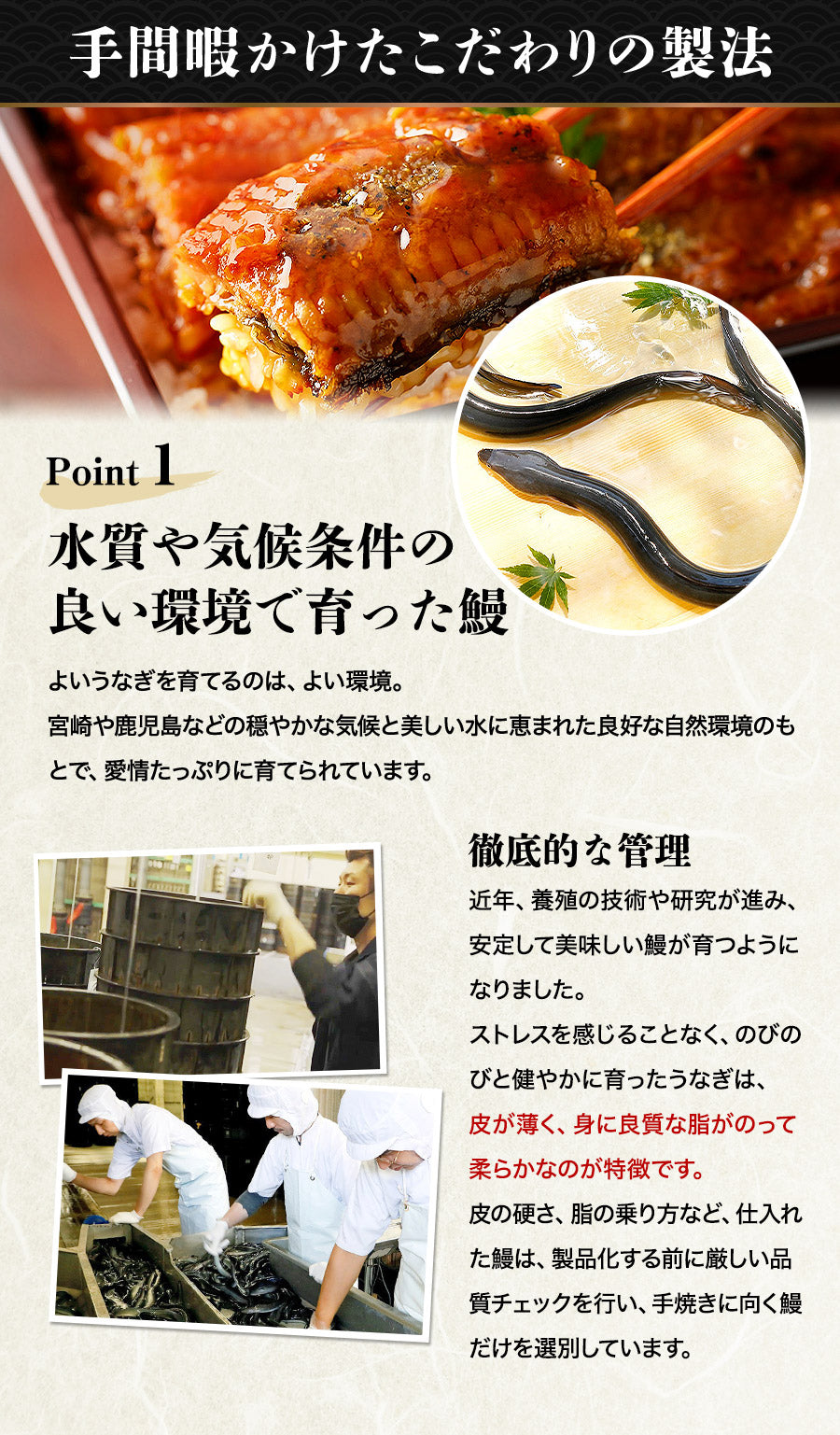 【3人シェア買いでお得】配送受付中★うなぎ 国産 2尾 約130g×2本 鰻 風呂敷包み 九州産 手焼き 炭火焼き 鰻 うなぎ ウナギ 蒲焼 かば焼き 土用丑 土用 丑の日 スタミナ 夏 冷凍便 お取り寄せグルメ 食品 ギフト
