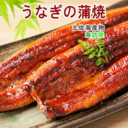 【送料込み】高知県高知市場 土佐海産物 海訪屋高知県仁淀川産うなぎの蒲焼 ２尾