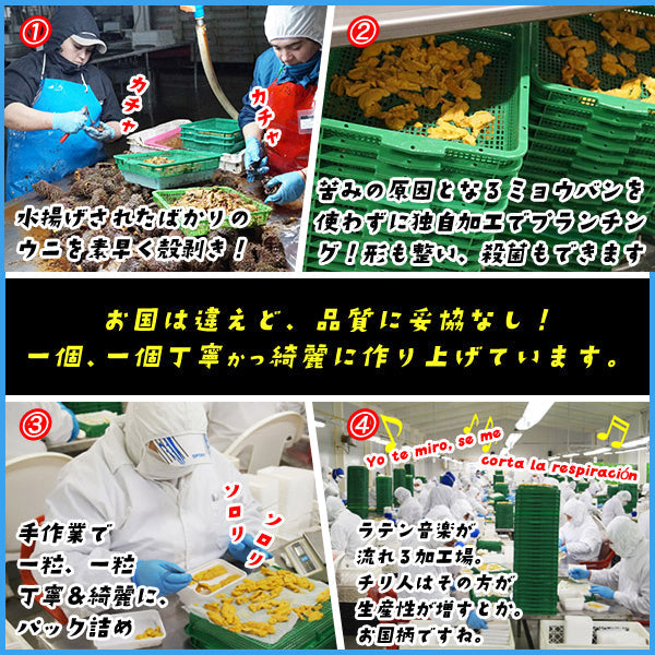 天然生ウニ100g×3パック ミョウバン不使用完全無添加 2014年グルメ大賞受賞 うに 雲丹 海鮮丼 寿司