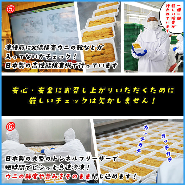 天然生ウニ100g×3パック ミョウバン不使用完全無添加 2014年グルメ大賞受賞 うに 雲丹 海鮮丼 寿司