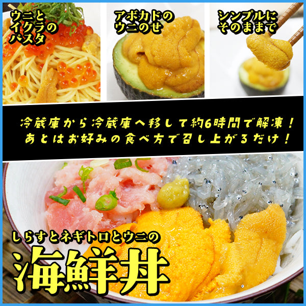 天然生ウニ100g ミョウバン不使用完全無添加 2014年グルメ大賞受賞 うに 雲丹 海鮮丼 寿司