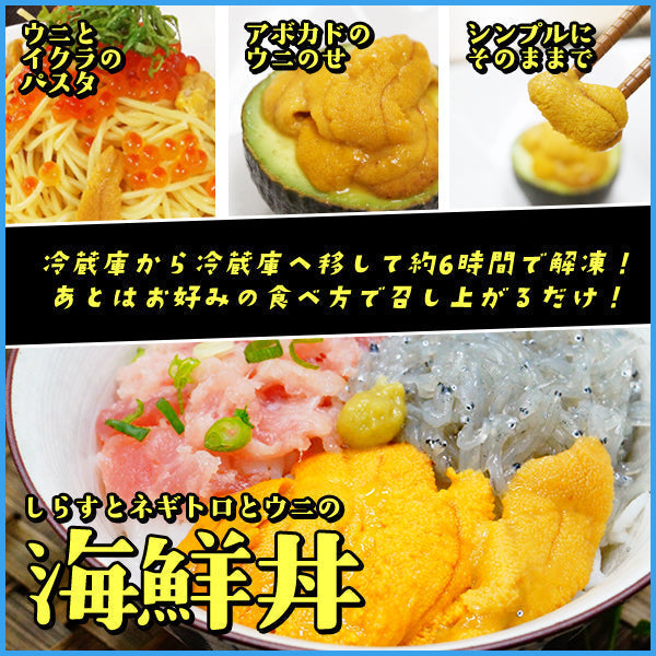 天然生ウニ100g×3パック ミョウバン不使用完全無添加 2014年グルメ大賞受賞 うに 雲丹 海鮮丼 寿司