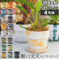 【80997.チャコール・プランツポット】 植木鉢 プラスチック おしゃれ 通販 鉢カバー 鉢 4号 プランター 小型 鉢植え ポット アーバンプランツポット プランターカバー かわいい 軽い 植木 室内 約 13cm 多肉植物 植物 フラワー