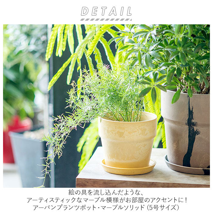 【81086.トリコロール・プランツポット】 植木鉢 プラスチック お洒落 5号 通販 プランター おしゃれ 植木 鉢 ポット 花鉢 5号鉢 プラスチック製鉢 かわいい 可愛い 軽量 軽い 直径 16.5cm アーバンプランツポット ５号 マーブル