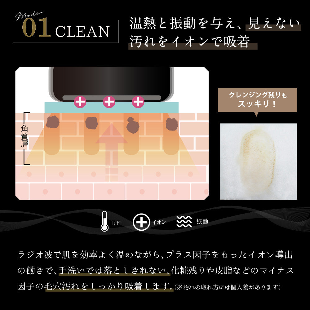 NIPLUX BEAUTY VIOLUS ヴィオラス 美顔器 リフトアップ ems