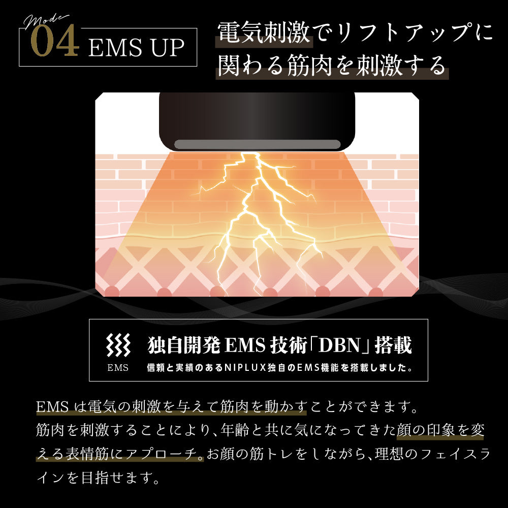 NIPLUX BEAUTY VIOLUS ヴィオラス 美顔器 リフトアップ ems