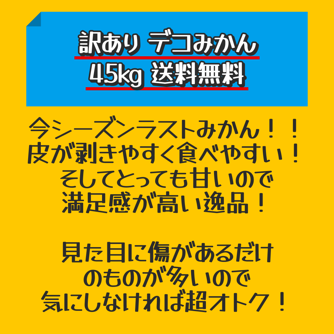 訳あり デコみかん 4.5kg 送料無料 不知火 みかん ミカン 熊本県産 訳あり デコポン と同品種 熊本 柑橘 目玉商品 くまもと風土《3月末頃～4月中旬頃より発送予定》【特産品・ご当地特集】【家計お助けSALE】