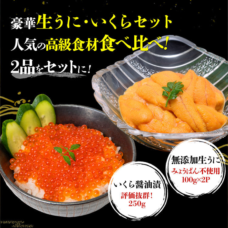 無添加 生うに 200g いくら 250g 食べ比べセット 2~5人前  みょうばん不使用 サーモントラウトいくら 詰め合わせ 福袋 食品 お取り寄せグルメ 食品 ギフト