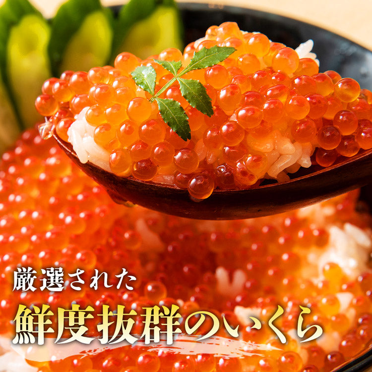 無添加 生うに 200g いくら 250g 食べ比べセット 2~5人前  みょうばん不使用 サーモントラウトいくら 詰め合わせ 福袋 食品 お取り寄せグルメ 食品 ギフト