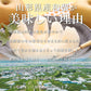 【早期予約】贈答用 秀品 山形県産和梨豊水約5kg ※一部地域は別途送料追加 wn04