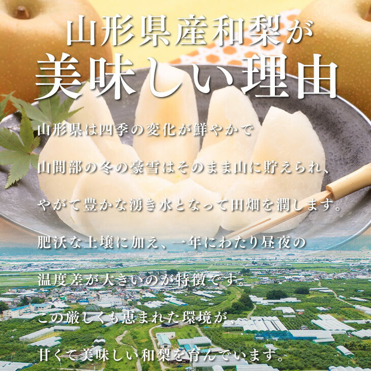 【早期予約】贈答用 秀品 山形県産和梨豊水約5kg ※一部地域は別途送料追加 wn04