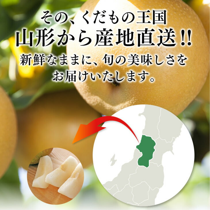 梨 かおり梨 送料無料 秀品 山形県産和梨かおり梨約5kg ※一部地域は別途送料追加 ギフト 果物 フルーツ