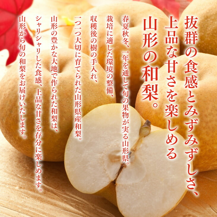 【早期予約】贈答用 秀品 山形県産 和梨 幸水 約5kg ※一部地域は別途送料追加 wn02