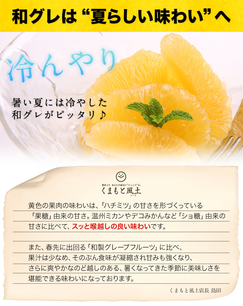 和製 グレープフルーツ 河内晩柑 10kg