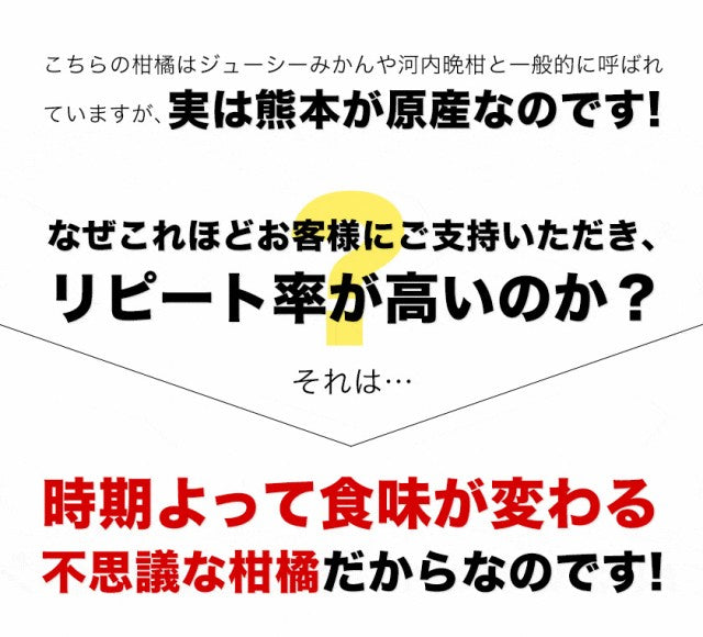 和製グレープフルーツ 河内晩柑 4kg グレープフルーツ 産地直送 河内 晩柑 熊本県産