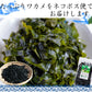 国産 カットわかめ １６０ｇ（80ｇ×2袋） わかめ 乾燥 国産 乾燥わかめ 肉厚 無添加 無着色 カットワカメ ２個 ミネラル ビタミン カルシウム 食物繊維 ワカメ 若布 国産 食品 グルメ 食べ物 保存食 送料無料 メール便 ポイント消化