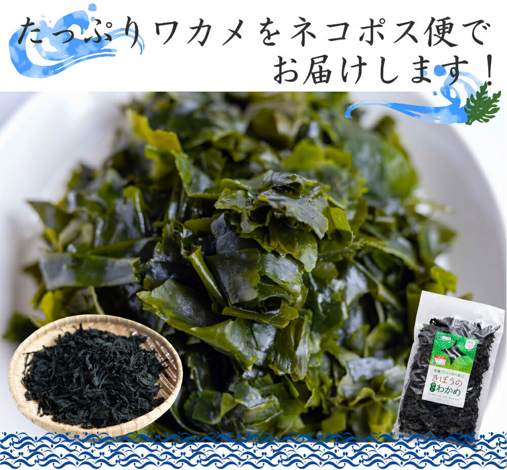 国産 カットわかめ １６０ｇ（80ｇ×2袋） わかめ 乾燥 国産 乾燥わかめ 肉厚 無添加 無着色 カットワカメ ２個 ミネラル ビタミン カルシウム 食物繊維 ワカメ 若布 国産 食品 グルメ 食べ物 保存食 送料無料 メール便 ポイント消化