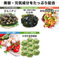 たっぷり５０包 すごい元気わかめスープ！非常食 オルニチンしじみ300個