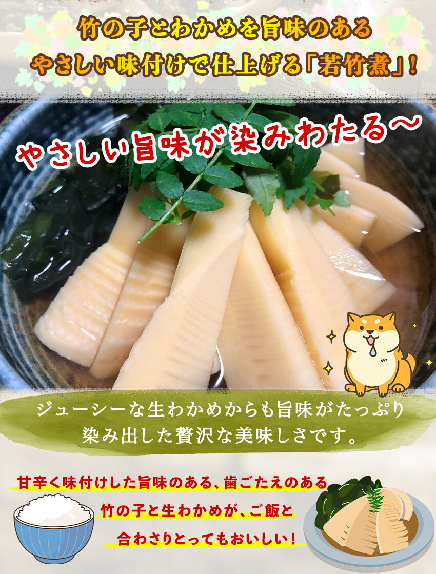 若竹煮(10パック)