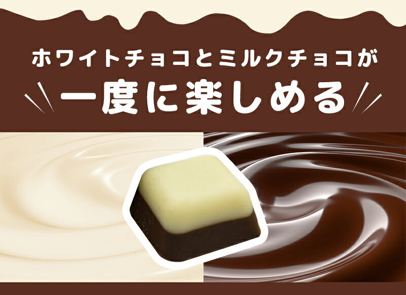 【たっぷり訳ありチョコレート　選べる2個セット】ミルクチョコ ホワイトチョコ ホワイトチョコレート ミルクチョコレート 一口サイズ  大容量