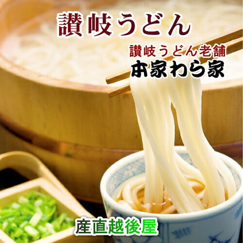 【送料込み】讃岐うどん 香川県屋島 讃岐うどんの老舗 わら家ざいご生うどん（讃岐うどん）10人前炒り子出しのめん汁付き10袋