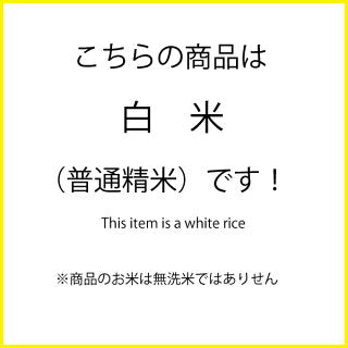 【新春SALE】5kg×2袋 10kg 令和２年 新米 九州 宮崎県産こしひかり 10kg