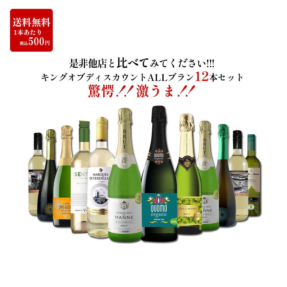 【送料無料】 驚愕のキング オブ ディスカウント ワインセット 第3弾 [750ml×12本]白ワイン6本 泡白6本 ＡＬＬブランセット【北海道・東北・四国・九州・沖縄県は必ず送料がかかります】