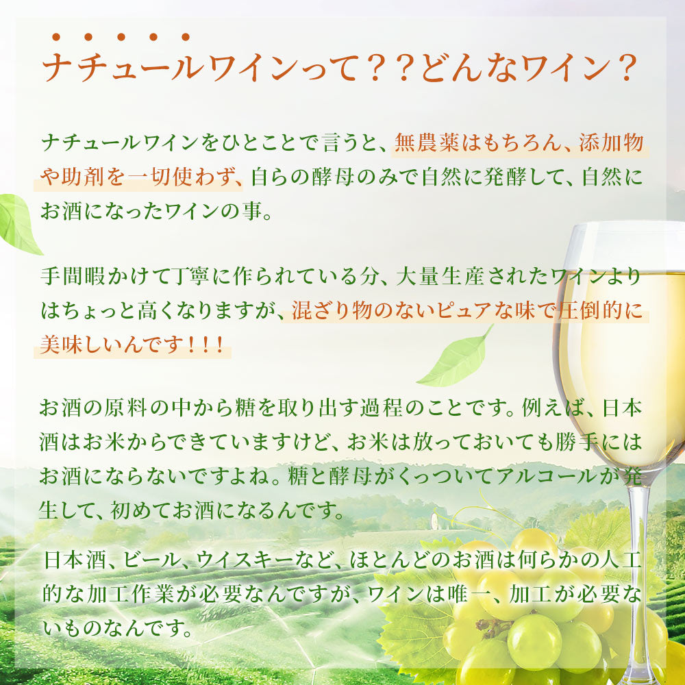 【送料無料】 ぜ〜んぶ オーガニック ナチュラルワイン泡＆赤白金賞ワインセット [750ml×6本]【北海道・東北・四国・九州・沖縄県は必ず送料がかかります】自然派 オーガニック  有機 ワイン 飲み比べ ワインセット ギフト