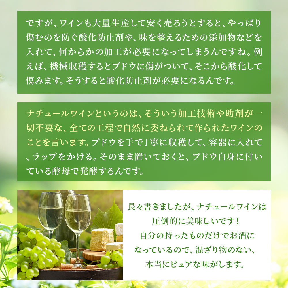 【送料無料】ワイン オーガニック 自然派 糖分も亜硫酸も検出されなかったナチュールワイン [750ml×4本/2000mlパウチワイン×1本]【北海道・東北・四国・九州・沖縄県は必ず送料がかります】