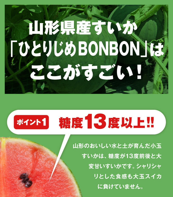 すいか 送料無料 山形県産黒皮小玉すいか 2玉入【送料無料】※一部地域は別途送料 果物 フルーツ【A品】【お中元】【ギフト】【のし対応】e2