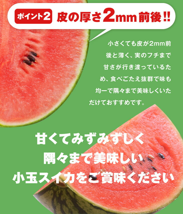 すいか 送料無料 山形県産黒皮小玉すいか 2玉入【送料無料】※一部地域は別途送料 果物 フルーツ【A品】【お中元】【ギフト】【のし対応】e2